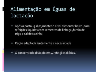 Alimentação em Éguas de
lactação
 Após o parto +3 dias,manter o nível alimentar baixo ,com
  refeições liquidas com sementes de linhaça ,farelo de
  trigo e sal de cozinha.

 Ração adaptada lentamente a necessidade


 O concentrado dividido em 4 refeições diárias.
 