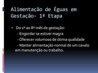 Alimentação de Éguas em
Gestação- 1ª Etapa

• Do 1º ao 8º mês de gestação:
   - Engordar se estiver magra
   - Oferecer volumoso de ótima qualidade
   - Manter alimentação normal de um cavalo
  em manutenção ou trabalho.
 