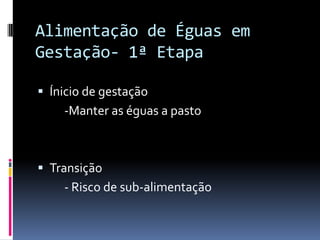 Alimentação de Éguas em
Gestação- 1ª Etapa

 Ínicio de gestação
    -Manter as éguas a pasto



 Transição
    - Risco de sub-alimentação
 