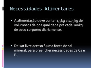 Necessidades Alimentares

 A alimentação deve conter 1,5kg a 1,75kg de
  volumosos de boa qualidade pra cada 100kg
  de peso corpóreo diariamente.



 Deixar livre acesso à uma fonte de sal
  mineral, para preencher necessidades de Ca e
  P.
 