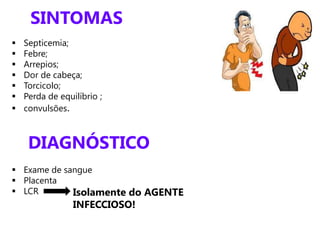 SINTOMAS
 Septicemia;
 Febre;
 Arrepios;
 Dor de cabeça;
 Torcicolo;
 Perda de equilíbrio ;
 convulsões.
DIAGNÓSTICO
 Exame de sangue
 Placenta
 LCR Isolamente do AGENTE
INFECCIOSO!
 