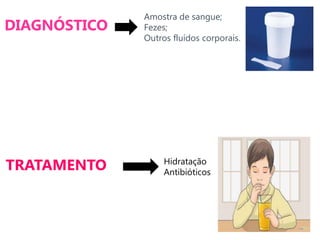 DIAGNÓSTICO
TRATAMENTO Hidratação
Antibióticos
Amostra de sangue;
Fezes;
Outros fluídos corporais.
 