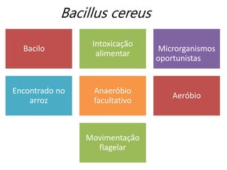 Bacilo
Intoxicação
alimentar
Microrganismos
oportunistas
Encontrado no
arroz
Anaeróbio
facultativo
Aeróbio
Movimentação
flagelar
Bacillus cereus
 