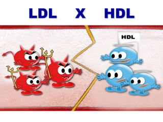 LDL X HDL
 