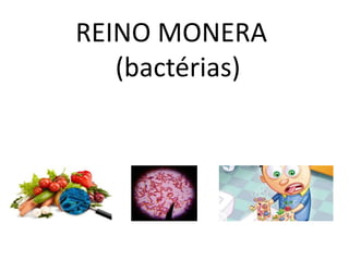 REINO MONERA
(bactérias)
 