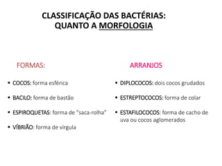 CLASSIFICAÇÃO DAS BACTÉRIAS:
QUANTO A MORFOLOGIA
FORMAS: ARRANJOS
 COCOS: forma esférica
 BACILO: forma de bastão
 ESPIROQUETAS: forma de “saca-rolha”
 VÍBRIÃO: forma de vírgula
 DIPLOCOCOS: dois cocos grudados
 ESTREPTOCOCOS: forma de colar
 ESTAFILOCOCOS: forma de cacho de
uva ou cocos aglomerados
 