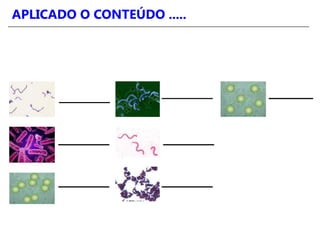APLICADO O CONTEÚDO .....
 