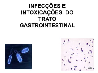 INFECÇÕES E
INTOXICAÇÕES DO
TRATO
GASTROINTESTINAL
 