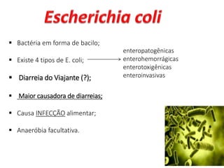  Bactéria em forma de bacilo;
 Existe 4 tipos de E. coli;
 Diarreia do Viajante (?);
 Maior causadora de diarreias;
 Causa INFECÇÃO alimentar;
 Anaeróbia facultativa.
enteropatogênicas
enterohemorrágicas
enterotoxigênicas
enteroinvasivas
 