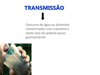 TRANSMISSÃO
Consumo de água ou alimentos
contaminados com a bactéria e
neste caso ela poderá causar
gastroenterite.
 