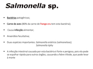  Bactérias patogênicas;
 Carne de aves (80% da carne de frango cru tem esta bactéria);
 Causa infecção alimentar;
 Anaeróbia facultativa;
 Duas espécies importantes: Salmonella entérica (salmonelose);
Salmonella tiphy
 A infecção intestinal causada por esta bactéria é forte e perigosa, pois ela pode
se espalhar rápida para outros órgãos, causando a febre tifoide, que pode levar
à morte
 