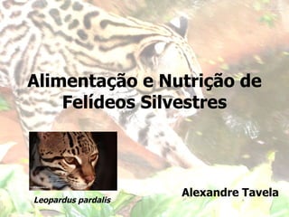 Alimentação e Nutrição de Felídeos Silvestres Alexandre Tavela Leopardus pardalis 
