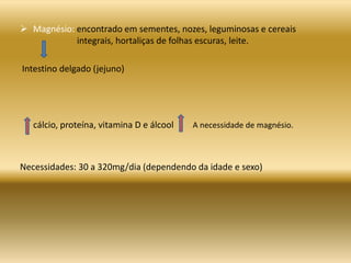  Magnésio: encontrado em sementes, nozes, leguminosas e cereais
integrais, hortaliças de folhas escuras, leite.
Intestino delgado (jejuno)
cálcio, proteína, vitamina D e álcool
Necessidades: 30 a 320mg/dia (dependendo da idade e sexo)
A necessidade de magnésio.
 