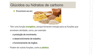 Glúcidos ou hidratos de carbono
• Têm uma função energética, porque fornecem energia para as funções que
envolvem atividade, como, por exemplo:
• a produção de movimento;
• o desenvolvimento de trabalho;
• o funcionamento de órgãos.
• Podem ter outras funções, como a plástica.
Encontram-se em:
 