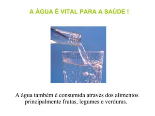 A ÁGUA É VITAL PARA A SAÚDE ! A água também é consumida através dos alimentos principalmente frutas, legumes e verduras.  