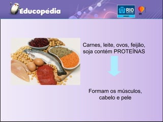Carnes, leite, ovos, feijão, soja contém PROTEÍNAS Formam os músculos, cabelo e pele 