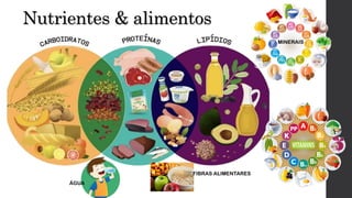 Nutrientes & alimentos
MINERAIS
ÁGUA
FIBRAS ALIMENTARES
 