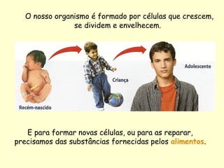 O nosso organismo é formado por células que crescem,
se dividem e envelhecem.
E para formar novas células, ou para as reparar,
precisamos das substâncias fornecidas pelos alimentos.
 