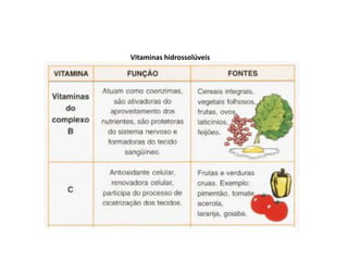 Vitaminas hidrossolúveis
 
