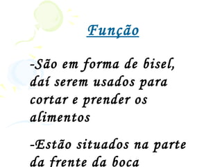 Função
-São em forma de bisel,
daí serem usados para
cortar e prender os
alimentos
-Estão situados na parte
da frente da boca
 