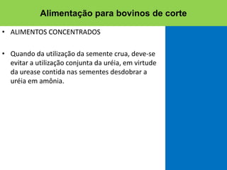 • ALIMENTOS CONCENTRADOS
• Quando da utilização da semente crua, deve-se
evitar a utilização conjunta da uréia, em virtude
da urease contida nas sementes desdobrar a
uréia em amônia.
Alimentação para bovinos de corte
 