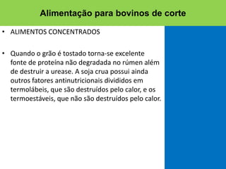 • ALIMENTOS CONCENTRADOS
• Quando o grão é tostado torna-se excelente
fonte de proteína não degradada no rúmen além
de destruir a urease. A soja crua possui ainda
outros fatores antinutricionais divididos em
termolábeis, que são destruídos pelo calor, e os
termoestáveis, que não são destruídos pelo calor.
Alimentação para bovinos de corte
 