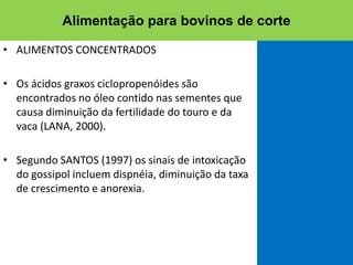 • ALIMENTOS CONCENTRADOS
• Os ácidos graxos ciclopropenóides são
encontrados no óleo contido nas sementes que
causa diminuição da fertilidade do touro e da
vaca (LANA, 2000).
• Segundo SANTOS (1997) os sinais de intoxicação
do gossipol incluem dispnéia, diminuição da taxa
de crescimento e anorexia.
Alimentação para bovinos de corte
 