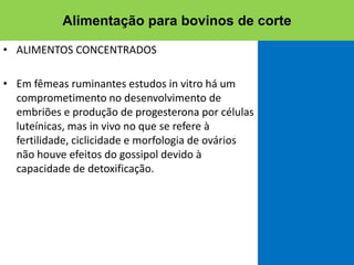 • ALIMENTOS CONCENTRADOS
• Em fêmeas ruminantes estudos in vitro há um
comprometimento no desenvolvimento de
embriões e produção de progesterona por células
luteínicas, mas in vivo no que se refere à
fertilidade, ciclicidade e morfologia de ovários
não houve efeitos do gossipol devido à
capacidade de detoxificação.
Alimentação para bovinos de corte
 