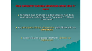 Alimentação saudavel