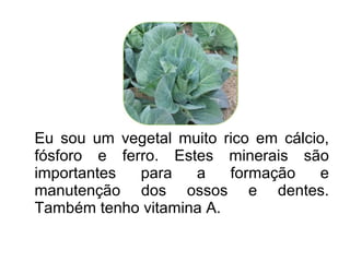 Eu sou um vegetal muito rico em cálcio,
fósforo e ferro. Estes minerais são
importantes  para   a    formação     e
manutenção dos ossos e dentes.
Também tenho vitamina A.
 