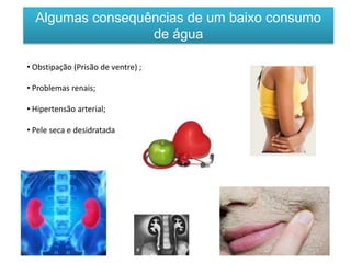 Algumas consequências de um baixo consumo
de água
• Obstipação (Prisão de ventre) ;
• Problemas renais;
• Hipertensão arterial;
• Pele seca e desidratada
 