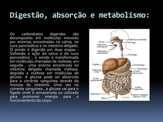 Digestão, absorção e metabolismo: 
Os carboidratos digeridos são 
decompostos em moléculas menores 
por enzimas encontradas na saliva, no 
suco pancreático e no intestino delgado. 
O amido é digerido em duas etapas : 
Sofrendo a ação da saliva e do suco 
pancreático , o amido é transformado 
em moléculas chamadas de maltose; em 
seguida , uma enzima encontrada no 
intestino delgado chamada maltase, 
degrada a maltose em moléculas de 
glicose. A glicose pode ser absorvida 
para a corrente sanguínea através da 
mucosa do intestino. Uma vez na 
corrente sanguínea , a glicose vai para o 
fígado onde é armazenada ou utilizada 
para promover energia para o 
funcionamento do corpo. 
 