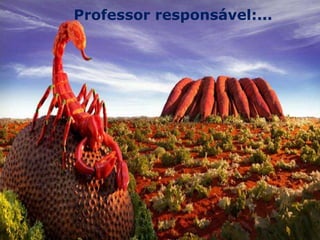 Professor responsável:...
 
