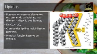 Lipídios
• Possuem os mesmos elementos
estruturais do carboidrato mas
diferem na ligação dos átomos;
• Ex: C57H110O6
• O grupo dos lipídios inclui óleos e
gorduras;
• Principal função: Reserva de
energia;
 