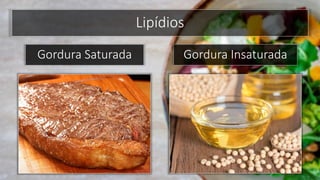 Lipídios
Gordura Saturada Gordura Insaturada
 