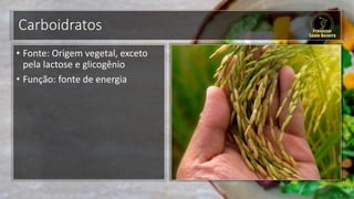 Carboidratos
• Fonte: Origem vegetal, exceto
pela lactose e glicogênio
• Função: fonte de energia
 