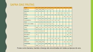 SAFRA DAS FRUTAS
Frutas como banana, mamão e laranja são encontradas em todas as épocas do ano.
 