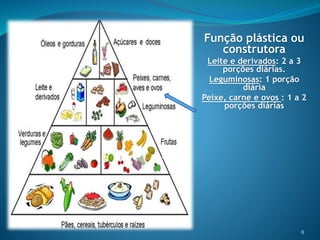 Função plástica ou
construtora
Leite e derivados: 2 a 3
porções diárias.
Leguminosas: 1 porção
diária
Peixe, carne e ovos : 1 a 2
porções diárias
8
 