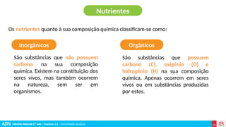 Funções dos Nutrientes no Organismo Humano: Importância e Fontes ...