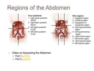 Regions of the Abdomen
 Video on Assessing the Abdomen
 Part 1part5.flv
 Part 2 part6.flv
 