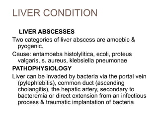 LIVER CONDITION
LIVER ABSCESSES
Two categories of liver abscess are amoebic &
pyogenic.
Cause: entamoeba histolylitica, ecoli, proteus
valgaris, s. aureus, klebsiella pneumonae
PATHOPHYSIOLOGY
Liver can be invaded by bacteria via the portal vein
(pylephlebitis), common duct (ascending
cholangitis), the hepatic artery, secondary to
bacteremia or direct extension from an infectious
process & traumatic implantation of bacteria
 