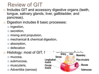 Review of GIT
 Includes GIT and accessory digestive organs (teeth,
tongue, salivary glands, liver, gallbladder, and
pancreas).
 Digestion includes 6 basic processes:
 ingestion,
 secretion,
 mixing and propulsion,
 mechanical & chemical digestion,
 absorption,
 defecation
 Histology: most of GIT, from deep to superficial;
 mucosa,
 submucosa,
 muscularis,
 Adventitia (serosa)
 