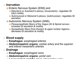  Inervation
 Enteric Nervous System (ENS) and
 Myenteric or Auerbach's plexus, (muscularis):- regulates GI
tract motility
 Submucosal or Meissner's plexus, (submucosa):- regulates GI
secretion
 Autonomic Nervous System (ANS).
 Parasympathetic fibers of the Vagus (X) & Spinal nerves:-
increase GI secretion & motility
 Sympathetic fibers from thoracic & upper lumbar regions:-
decrease GI secretion & motility
 Blood supply
 Esophagus: esophageal arteries
 Abdominopelvic organs: coeliac artery and the superior
and inferior mesenteric arteries
 Drainage
 Esophagus: esophageal veins
 Abdominopelvic organs: portal vein
 