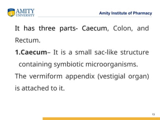 Human Alimentary Canal for Pharmacy Students.pptx