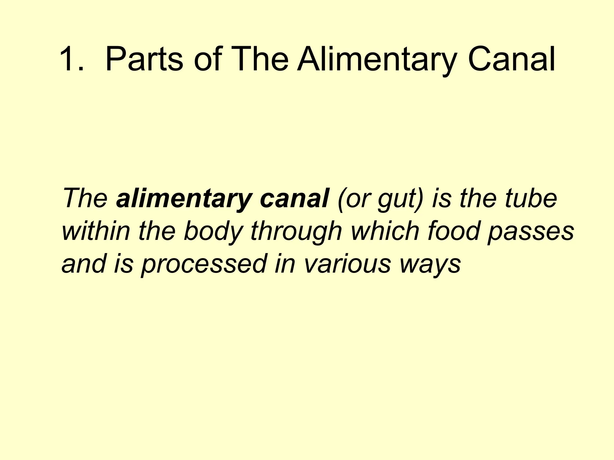 alimentary canal_ digestive system 3rd year.pptx