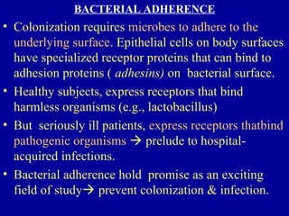 BACTERIAL ADHERENCE
• Colonization requires microbes to adhere to the
underlying surface. Epithelial cells on body surfaces
have specialized receptor proteins that can bind to
adhesion proteins ( adhesins) on bacterial surface.
• Healthy subjects, express receptors that bind
harmless organisms (e.g., lactobacillus)
• But seriously ill patients, express receptors thatbind
pathogenic organisms  prelude to hospital-
acquired infections.
• Bacterial adherence hold promise as an exciting
field of study prevent colonization & infection.
 