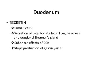 StomachGHRELINFrom P/D1 cells