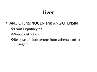 Reduces smooth muscle contractions and blood flow within the intestine.ENDOTHELINFrom X cells