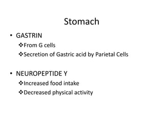 Neuropeptide Y