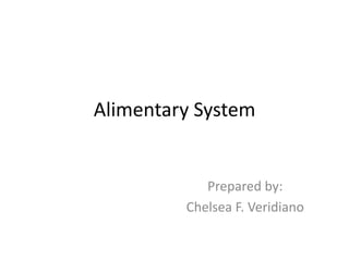 Alimentary System Prepared by:  Chelsea F. Veridiano 